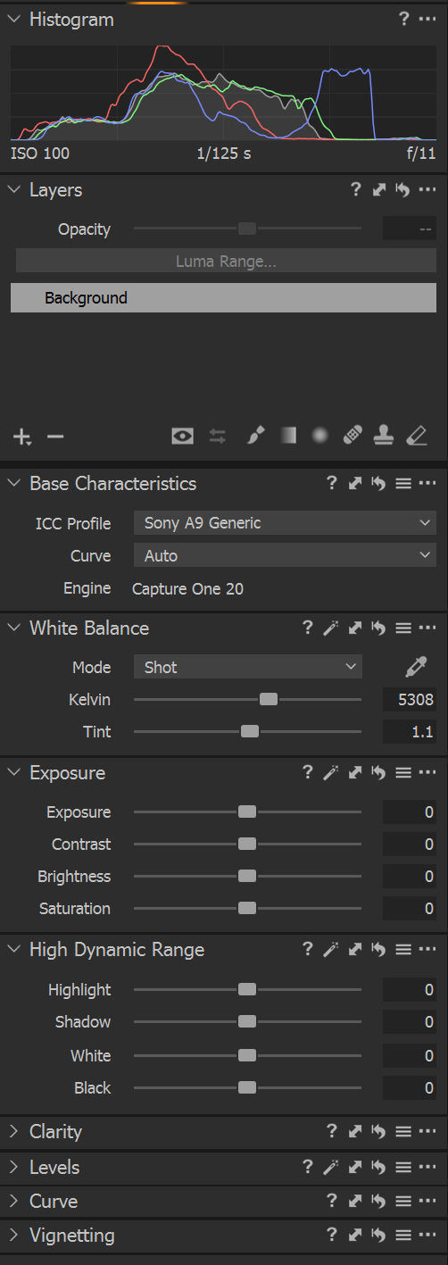 Capture One Fetures