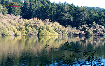 Bass Lake in Marin County
