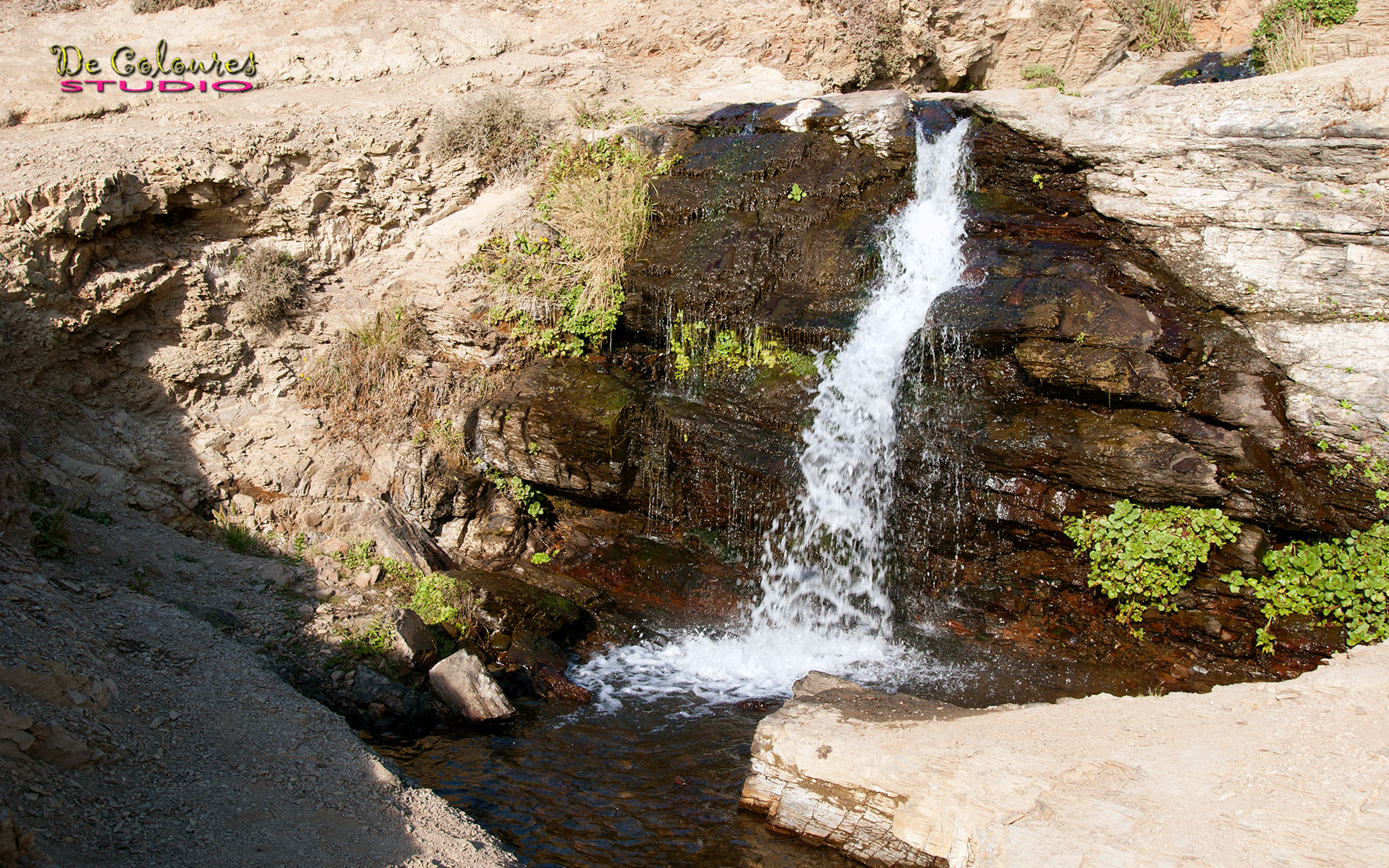 Alamere Falls - Poin Reyes