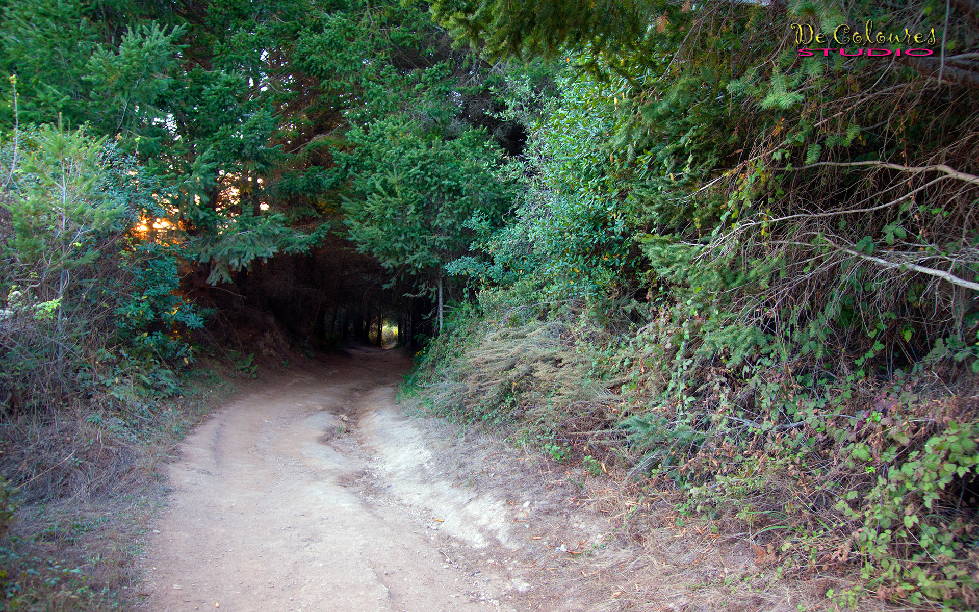 Alamere Falls - Poin Reyes