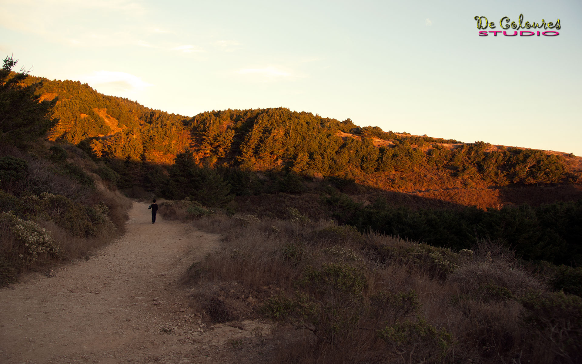 Alamere Falls - Poin Reyes