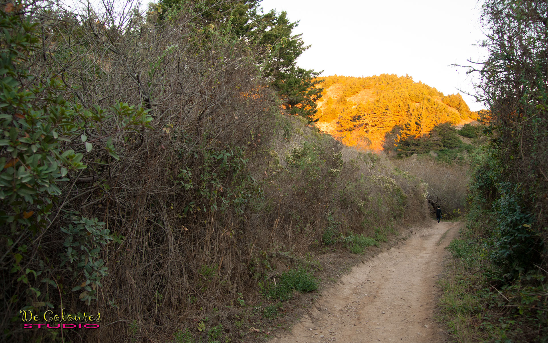 Alamere Falls - Poin Reyes