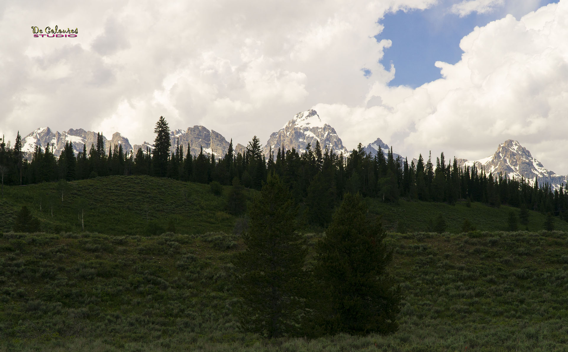 Grand Teton - 2019