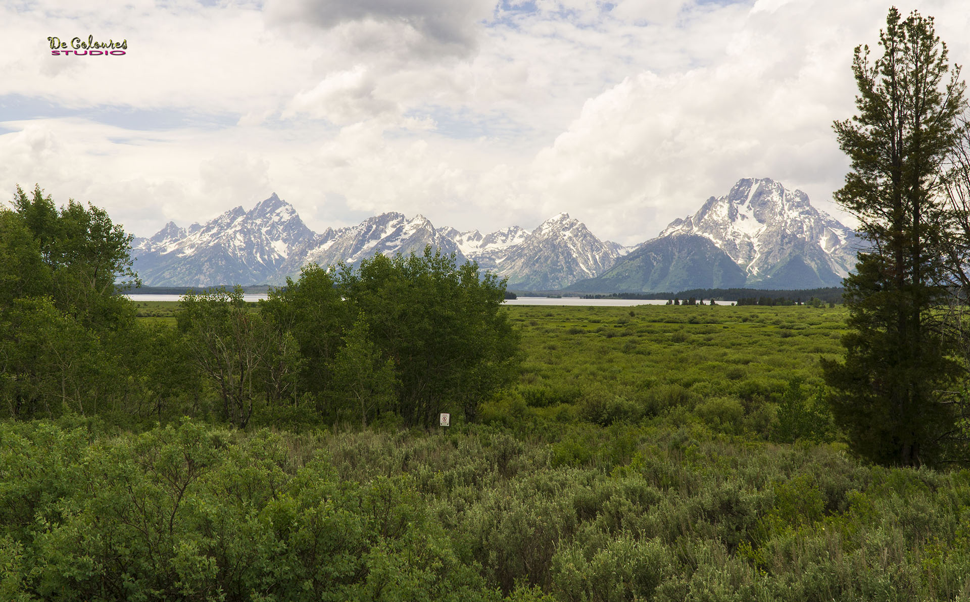 Grand Teton - 2019