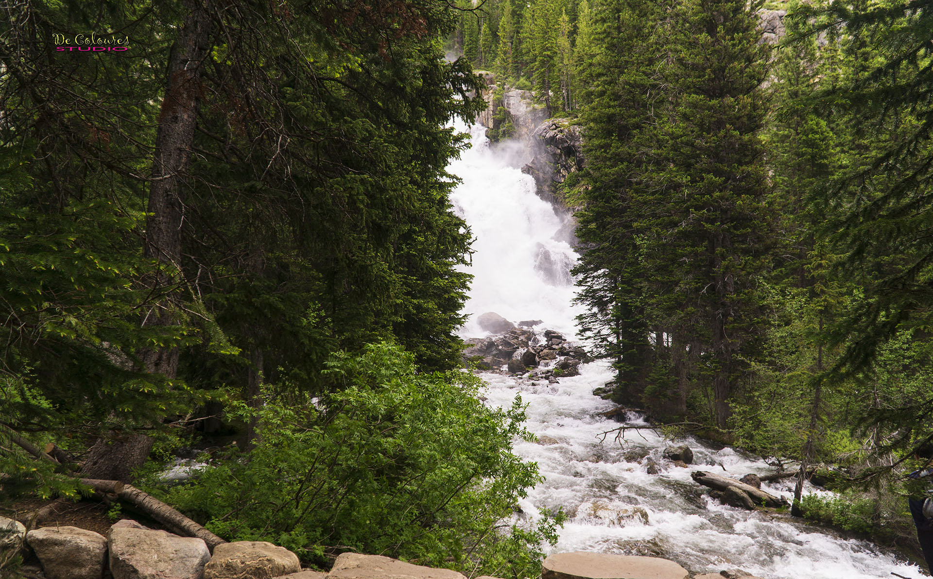 Grand Teton - 2019