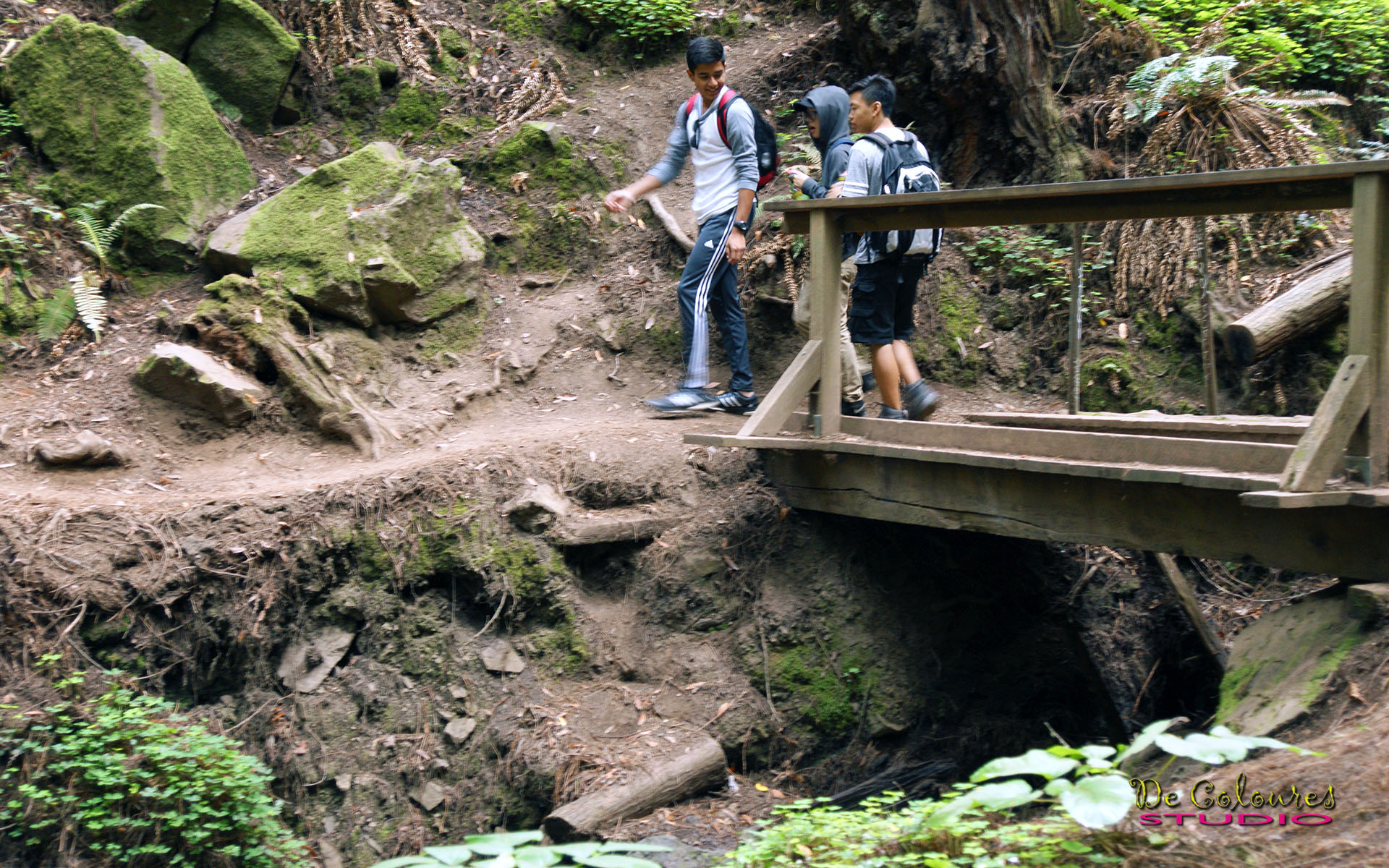 Muir Woods - California