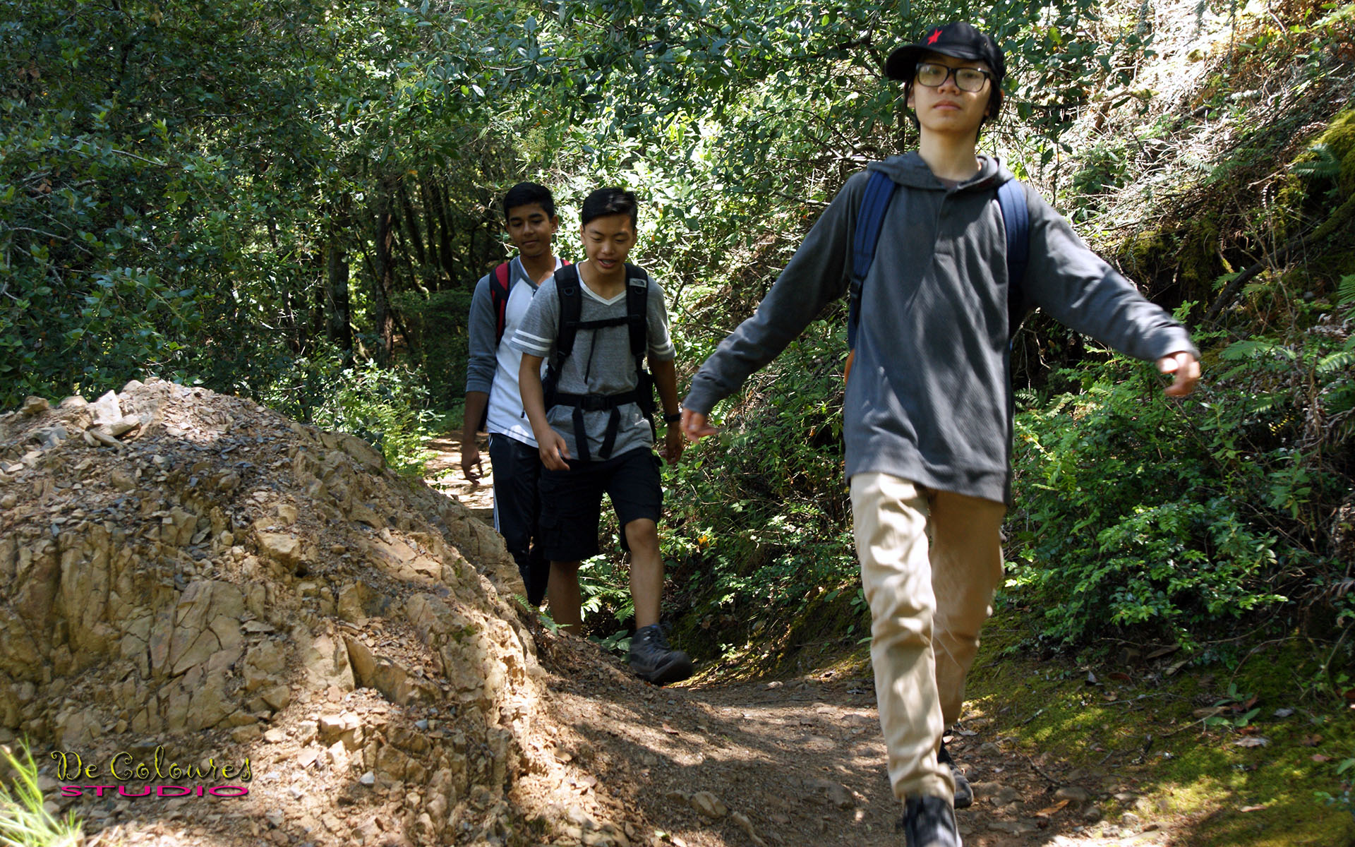Muir Woods - California