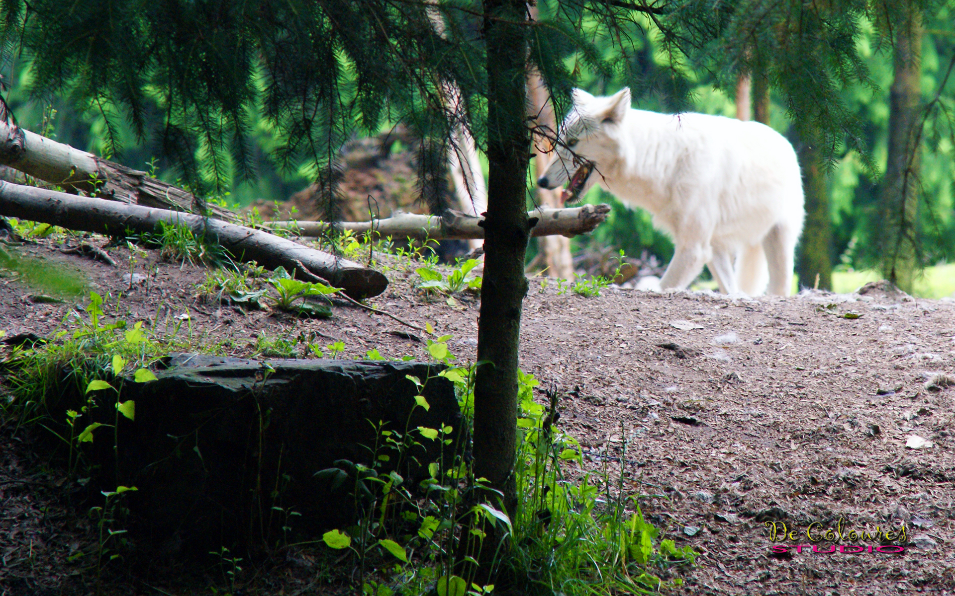Seattle - Washington 2014