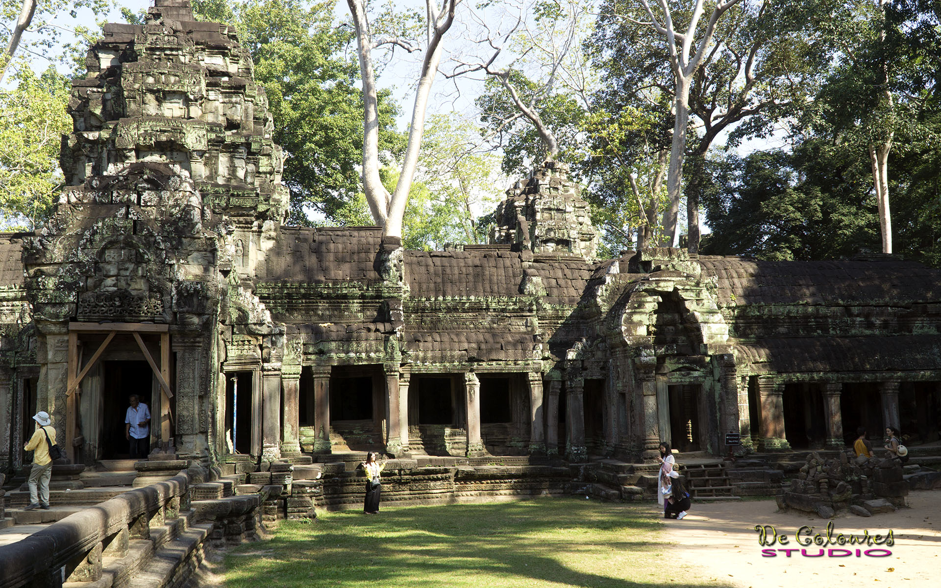 Ta Prohm - Angkor Wat