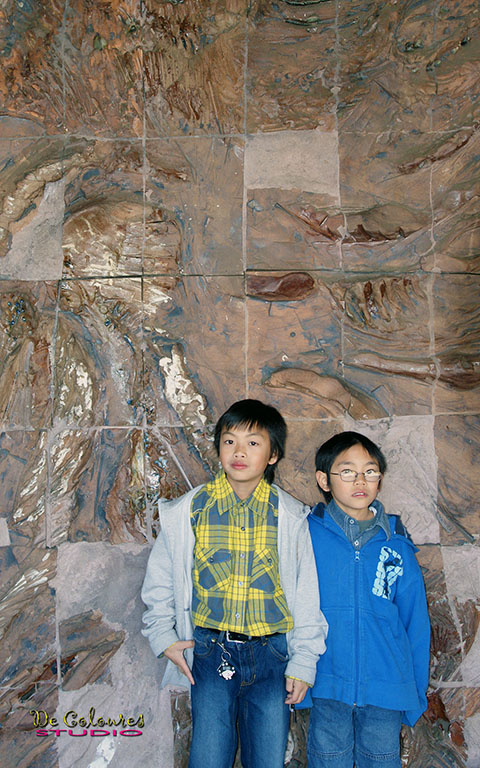 CANTOR ARTS MUSEUM, STANFORD