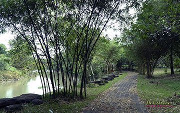Giang Dien Waterfall Trail