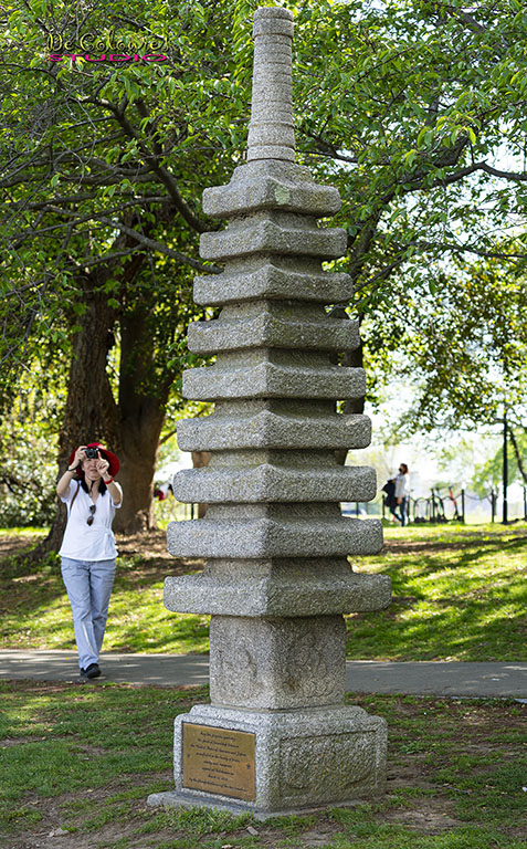 Japanese Pagoda