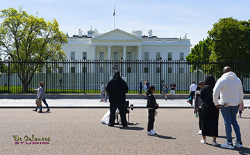 White House Backside