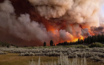 California Wildfire in 2021